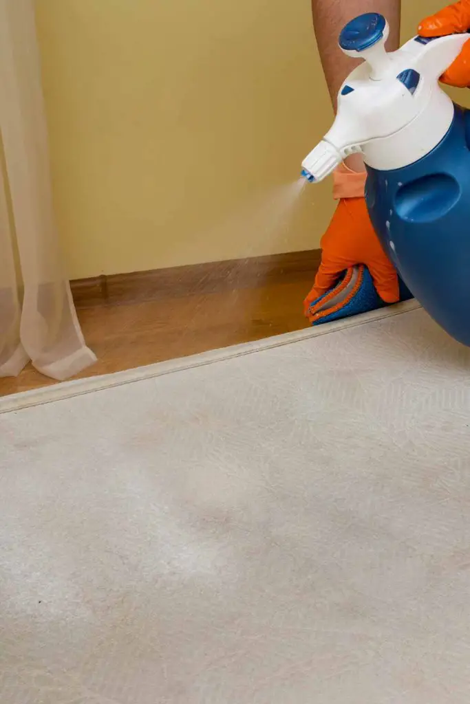 How To Clean Your Mattress And How Often You Should! Mental Scoop