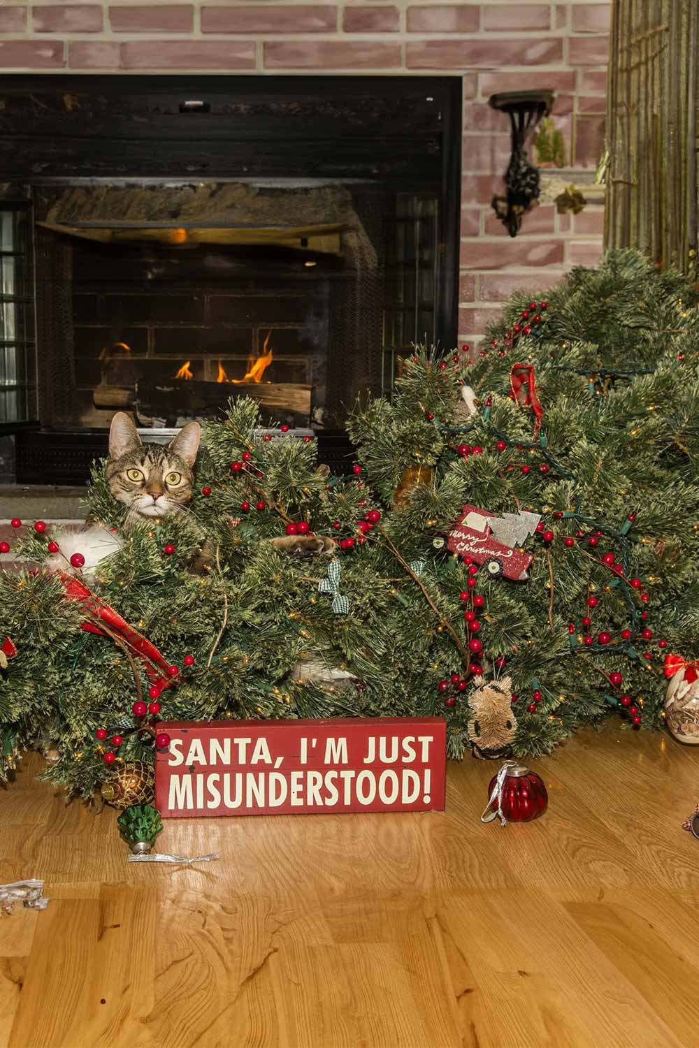 defaultt9TipsAndTricksToStopYourCatFromClimbingTheChristmas