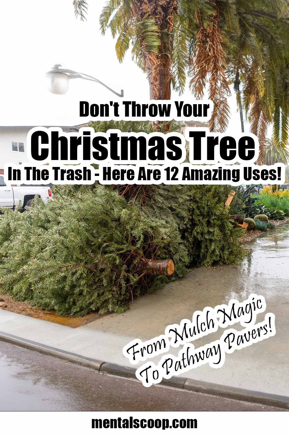 Don't Throw Your Christmas Tree In The Trash Here Are 12 Amazing Uses