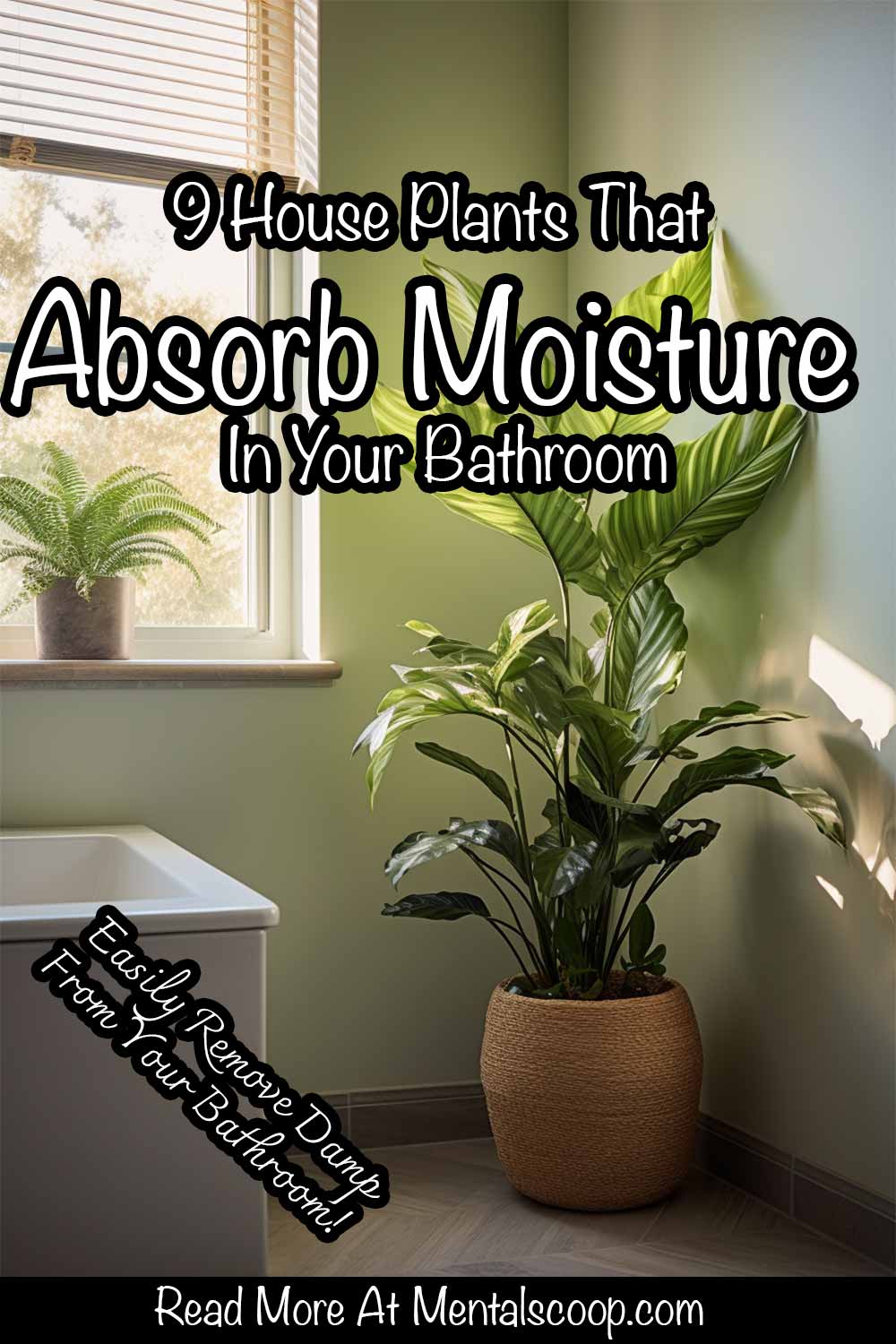 9HousePlantsThatAbsorbMoistureInYourBathroom Mental Scoop