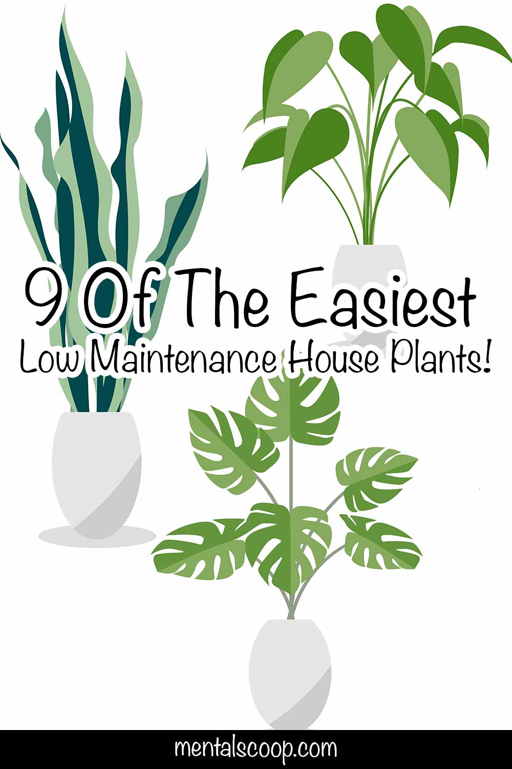 9 Of The Easiest Low Maintenance House Plants 1 Mental Scoop 9 Of The Easiest Low Maintenance House Plants 1 Mental Scoop