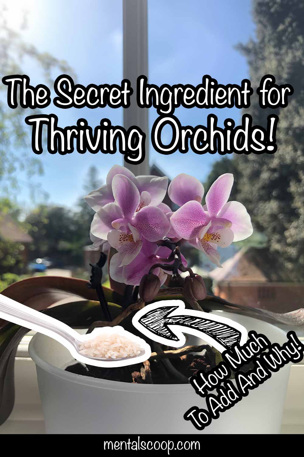 Fry99Com'S Secret Sauce: The Ingredient That Fuels A Thriving Business & Life - mo2iu1s