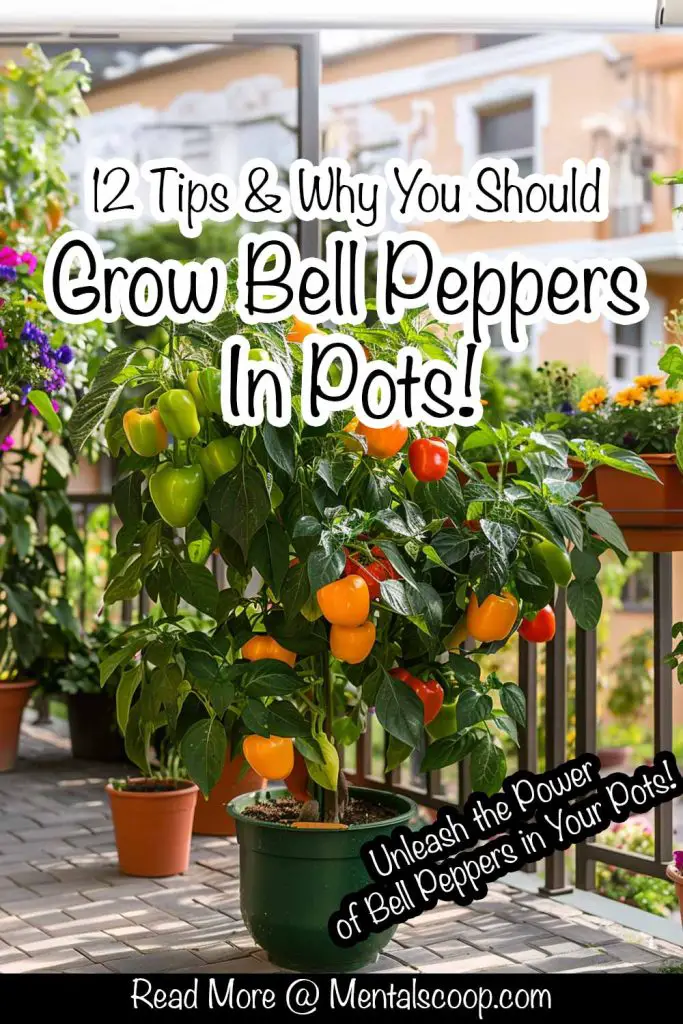 12 Tips & Why You Should Grow Bell Peppers In Pots! Mental Scoop