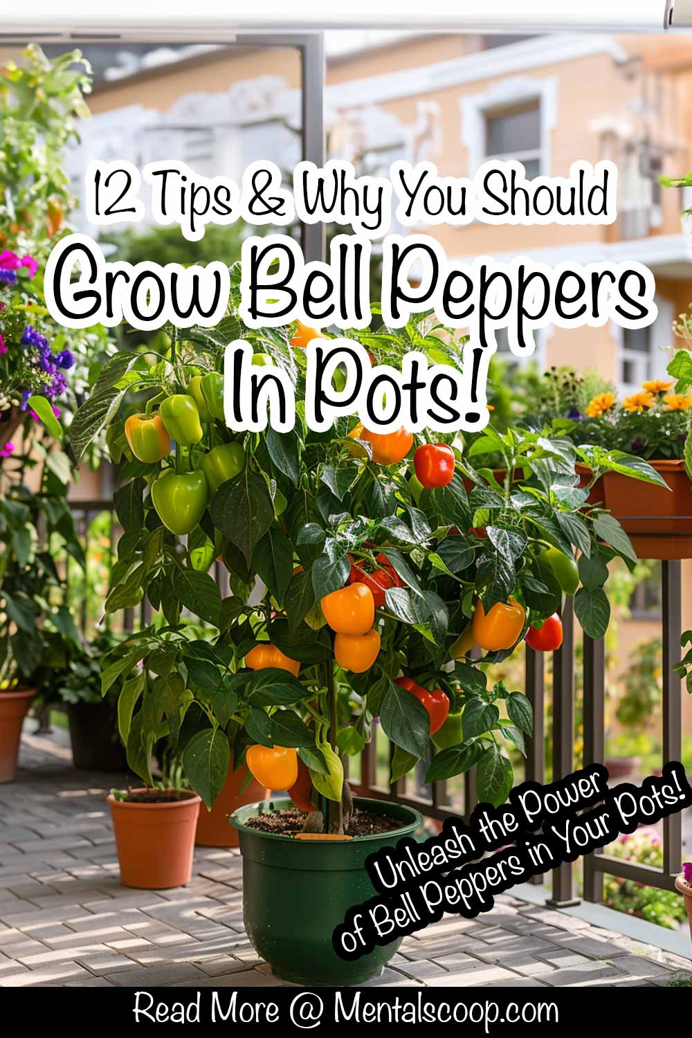 12 Tips & Why You Should Grow Bell Peppers In Pots! Mental Scoop
