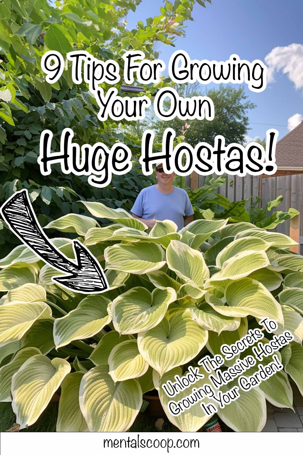9 Tips For Growing Your Own Huge Hostas! - Mental Scoop