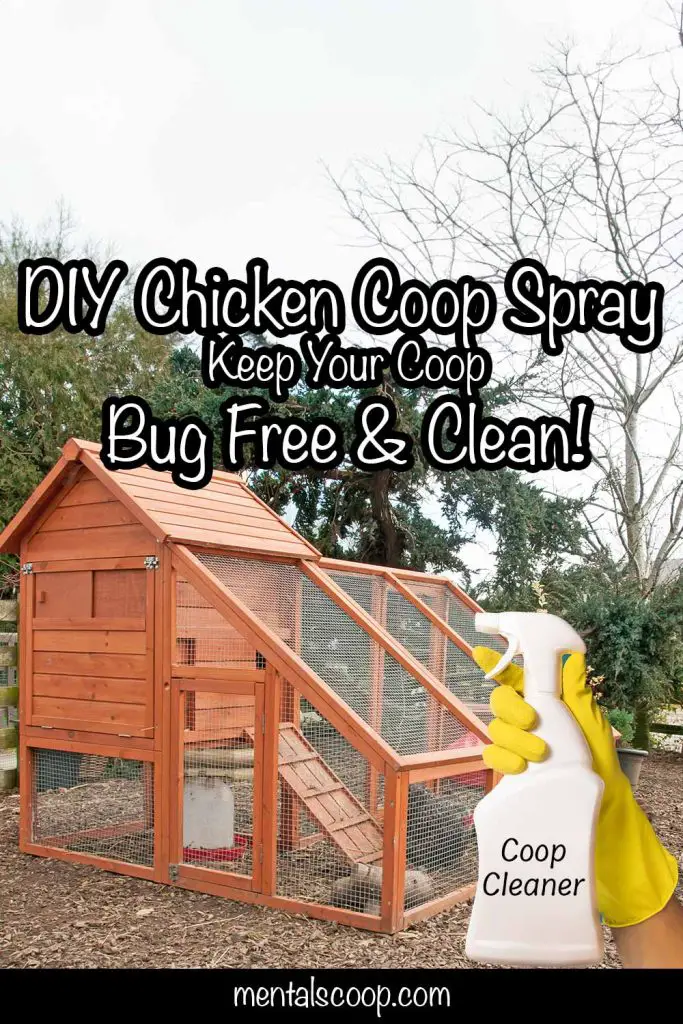 DIY Chicken Coop Spray Keep Your Coop Bug Free & Clean! Mental Scoop
