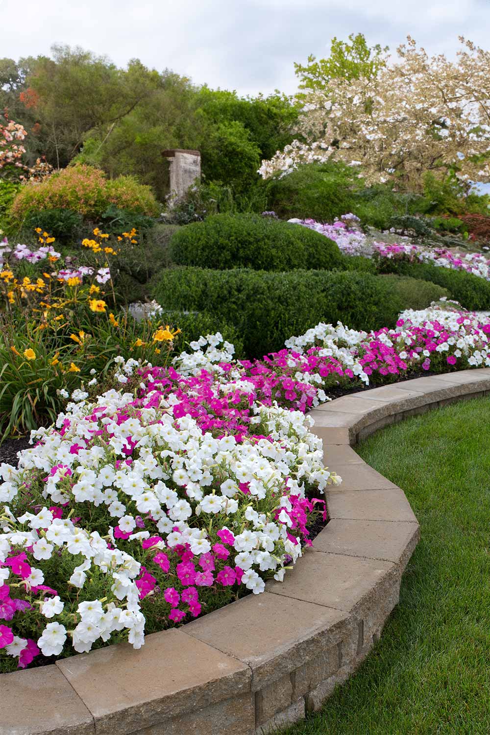 Default-Add-These-9-Plants-To-Your-Garden-To-Naturally-Repel-Insects