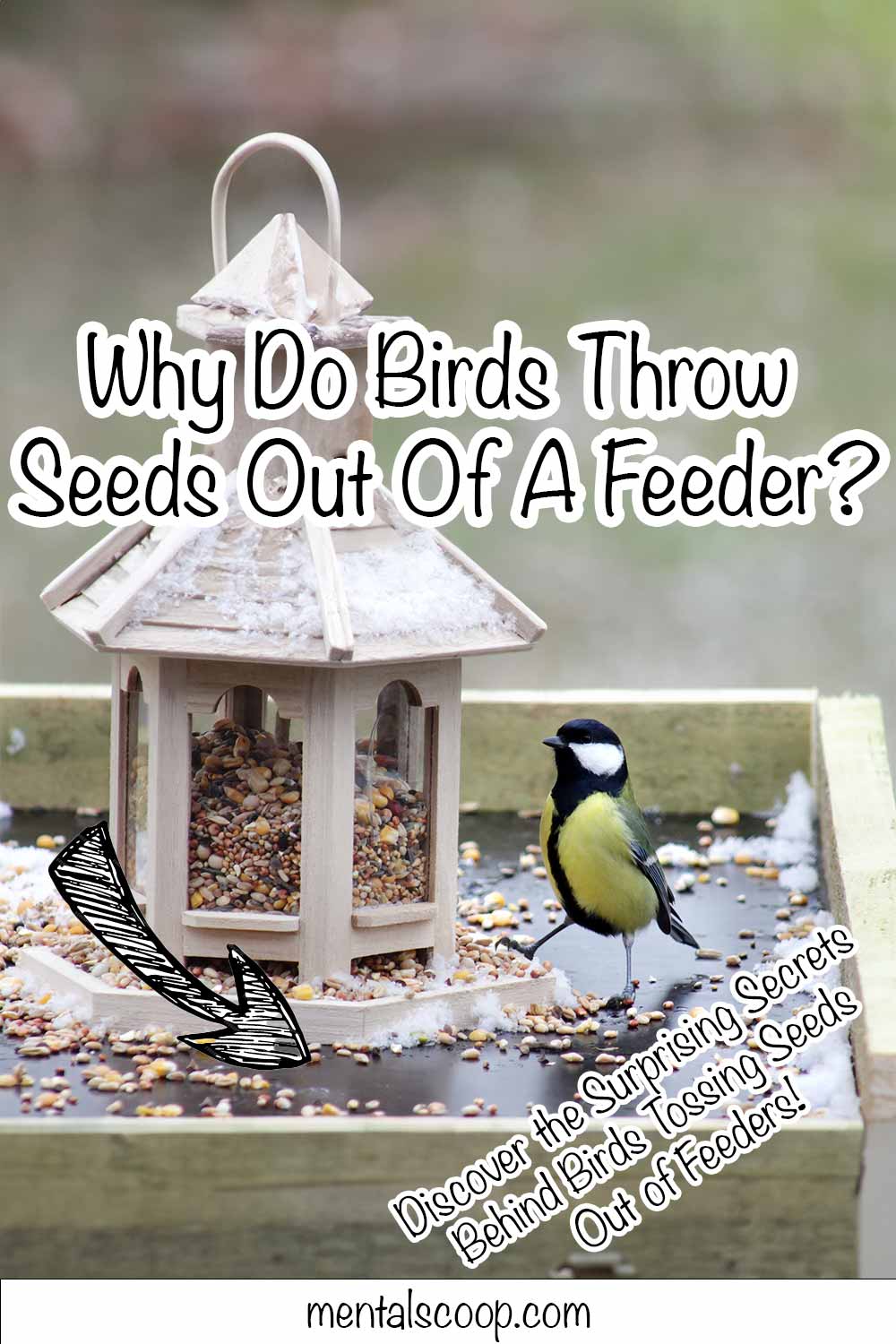 Why Do Birds Throw Seeds Out Of A Feeder? Mental Scoop