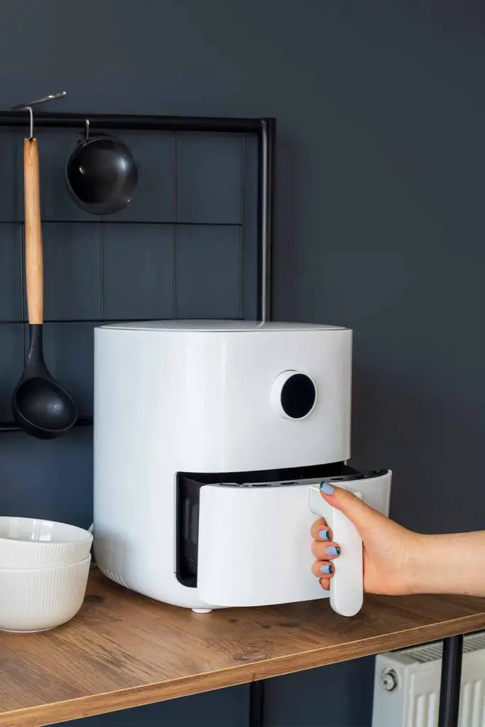 9 Dangerous Food You Should Never Cook In Your Air Fryer! Mental Scoop